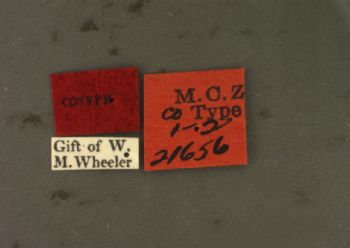 Media type: image; Entomology 21656   Aspect: labels
